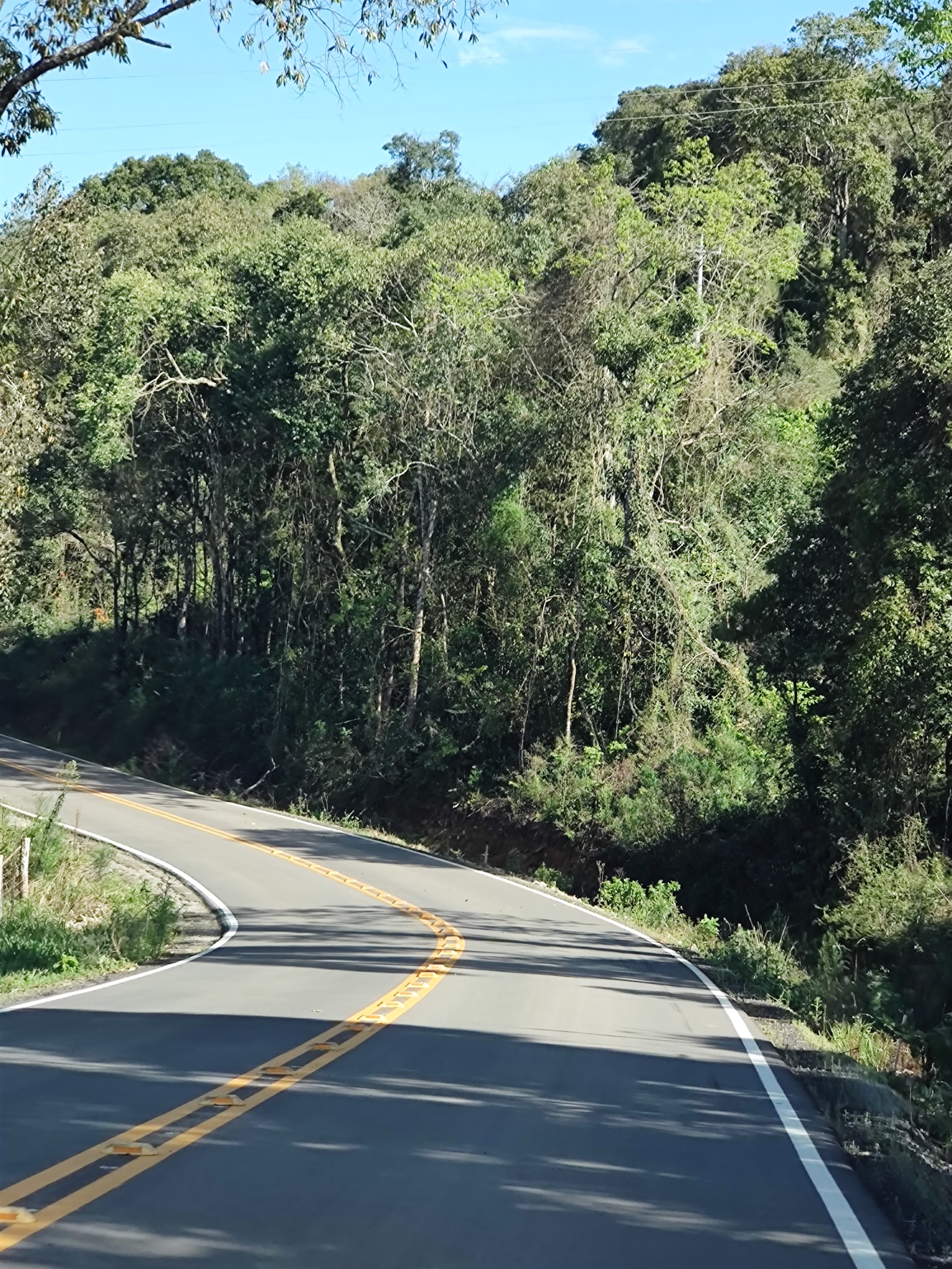 Estrada Silva Gumercindo em Antônio Prado/RS