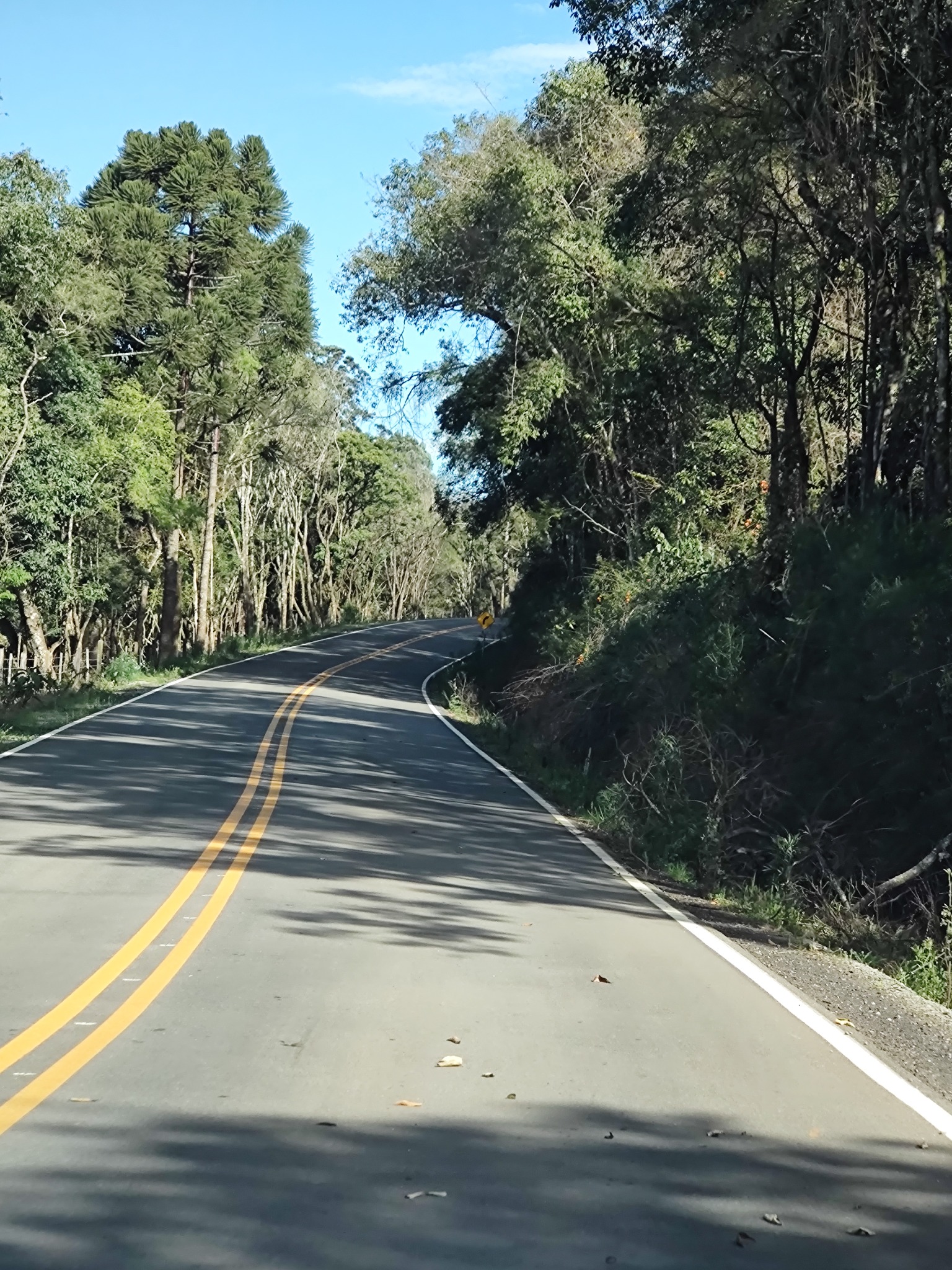 Estrada Silva Gumercindo em Antônio Prado/RS