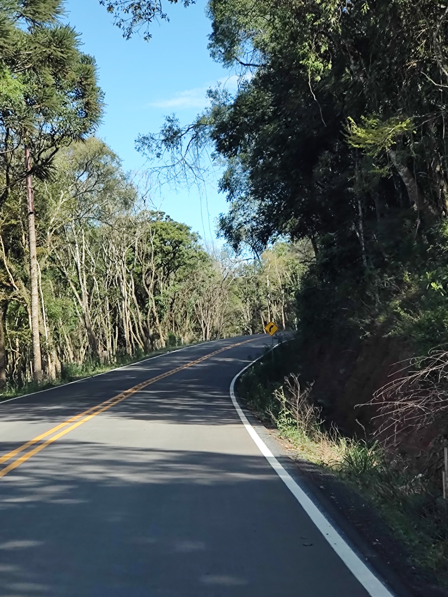 Estrada Silva Gumercindo