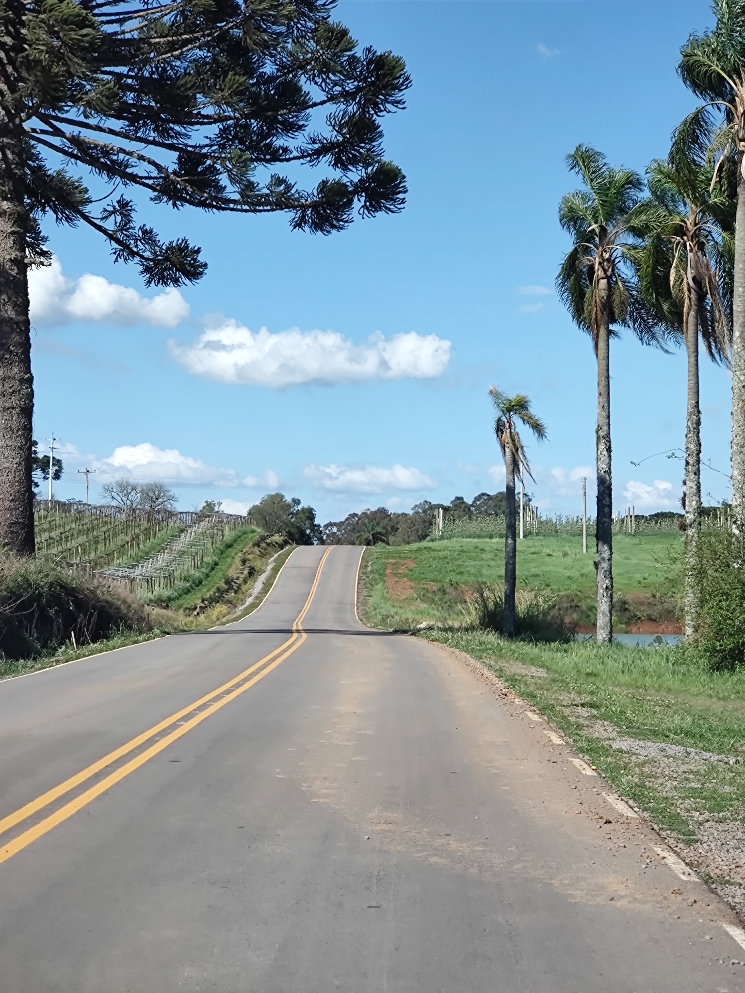 Estrada Silva Gumercindo em Antônio Prado/RS
