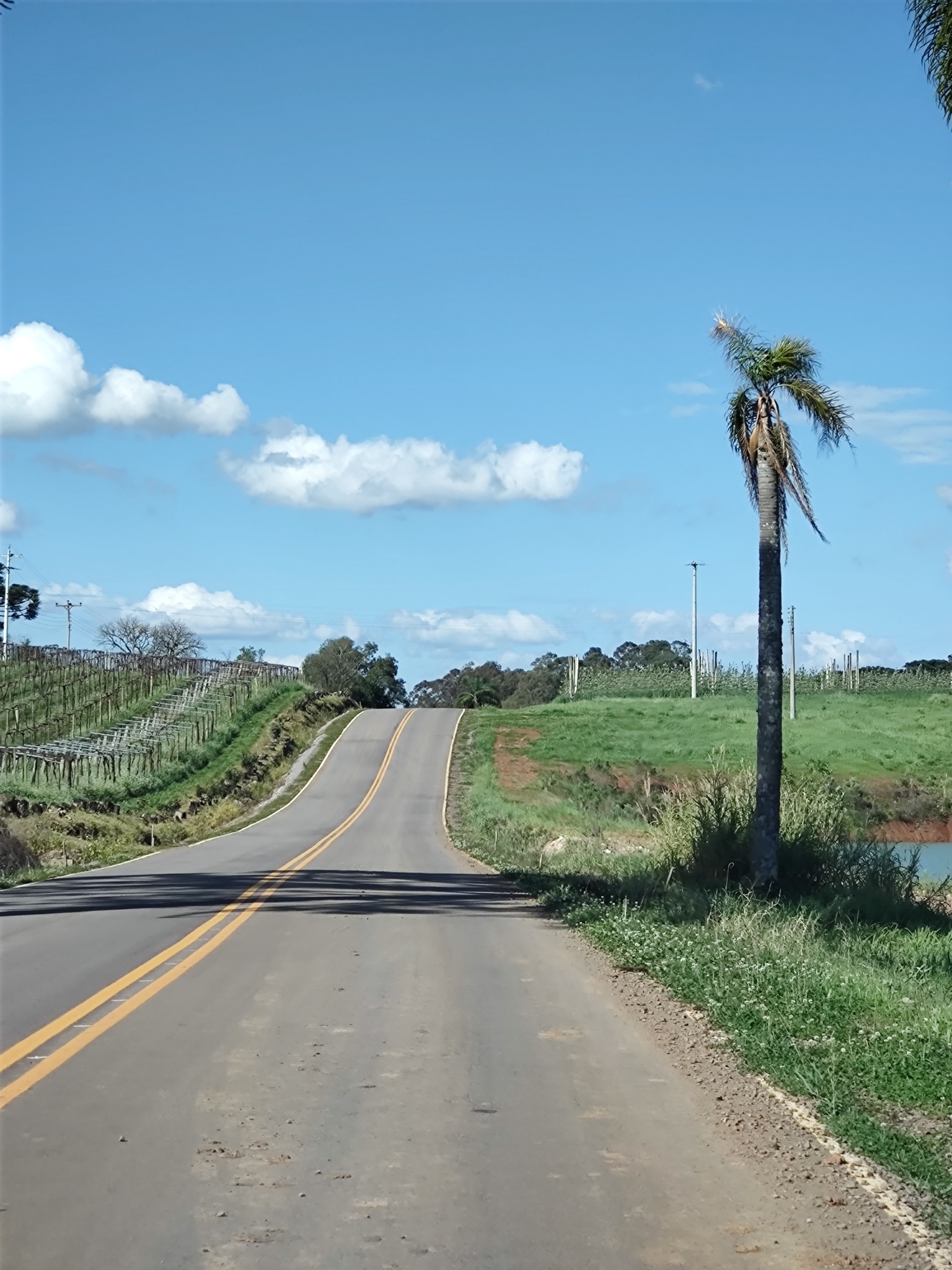 Estrada Silva Gumercindo em Antônio Prado/RS