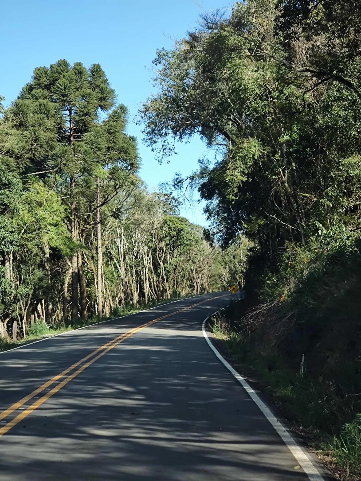 Estrada pavimentada