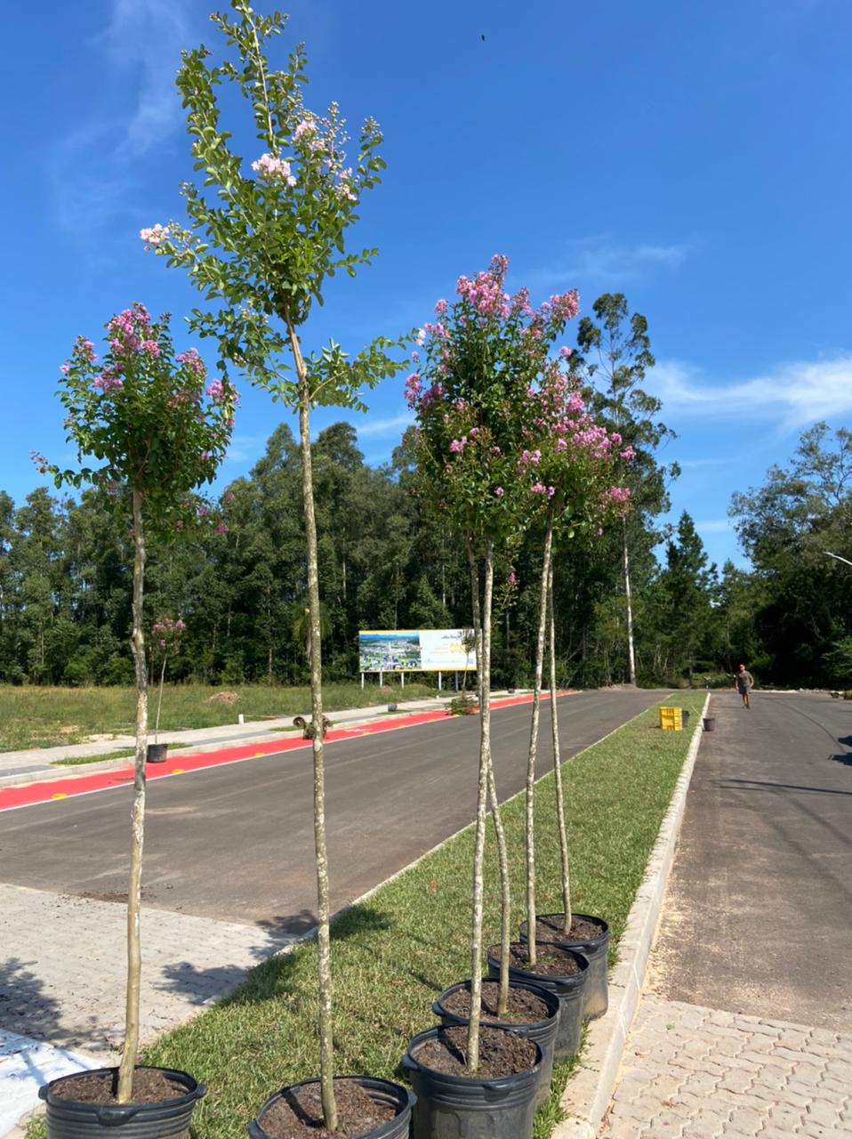 Projetos e obras de infraestrutura — imagem 3